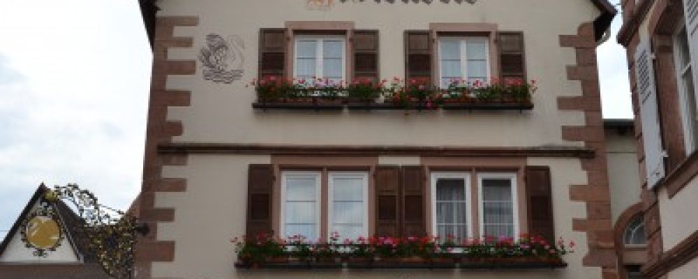 L’Hostellerie du Cygne à Wissembourg : La passion du local et des saisons