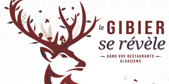 Le GIBIER se révèle…