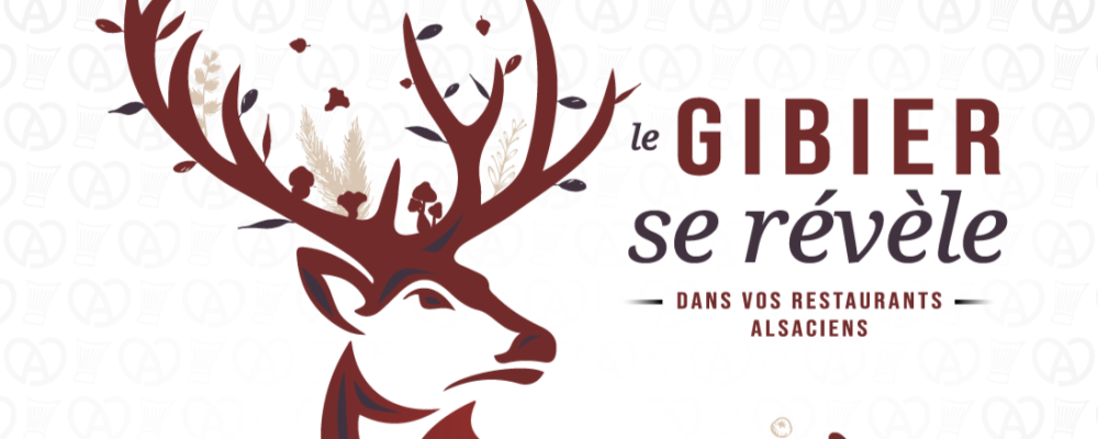 Le GIBIER se révèle…