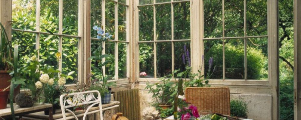 Les lièvres de Madame Trierweiler