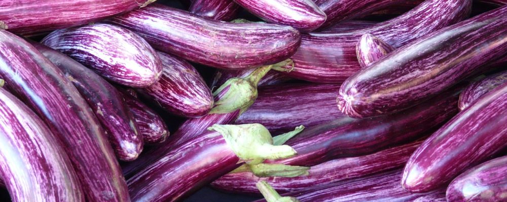 Et la gagnante de la saison est … Miss Aubergine !