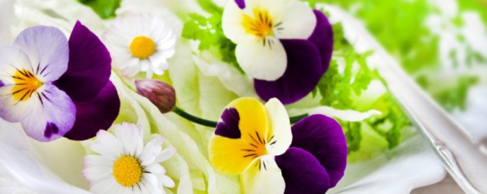 Des fleurs dans vos assiettes !