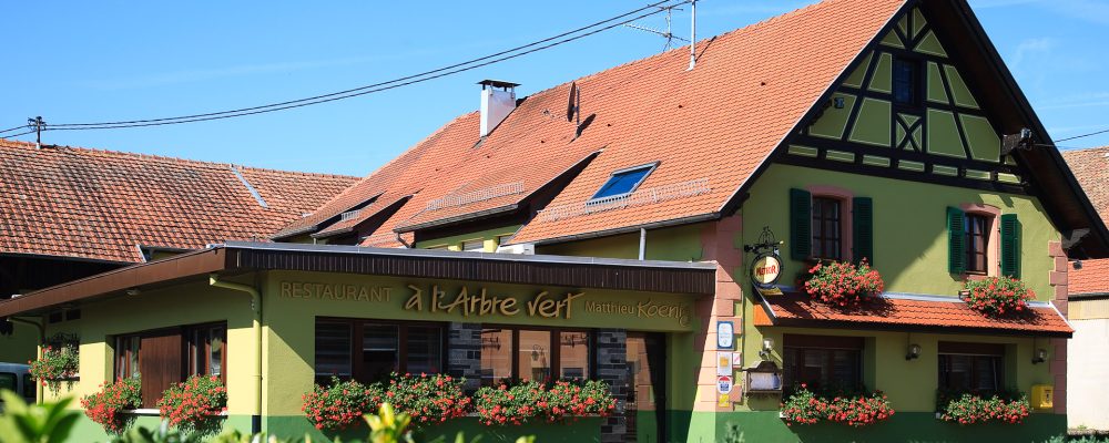 De voyages en cuisine : Matthieu Koenig et l&rsquo;Arbre Vert à Berrwiller