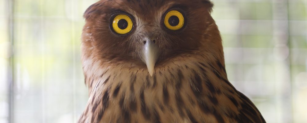 Non, mais t’as vu tes notes ?